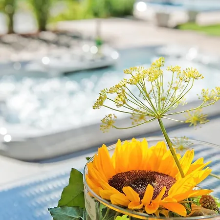 Zeitraum Rohrhardsberg Διαμέρισμα *